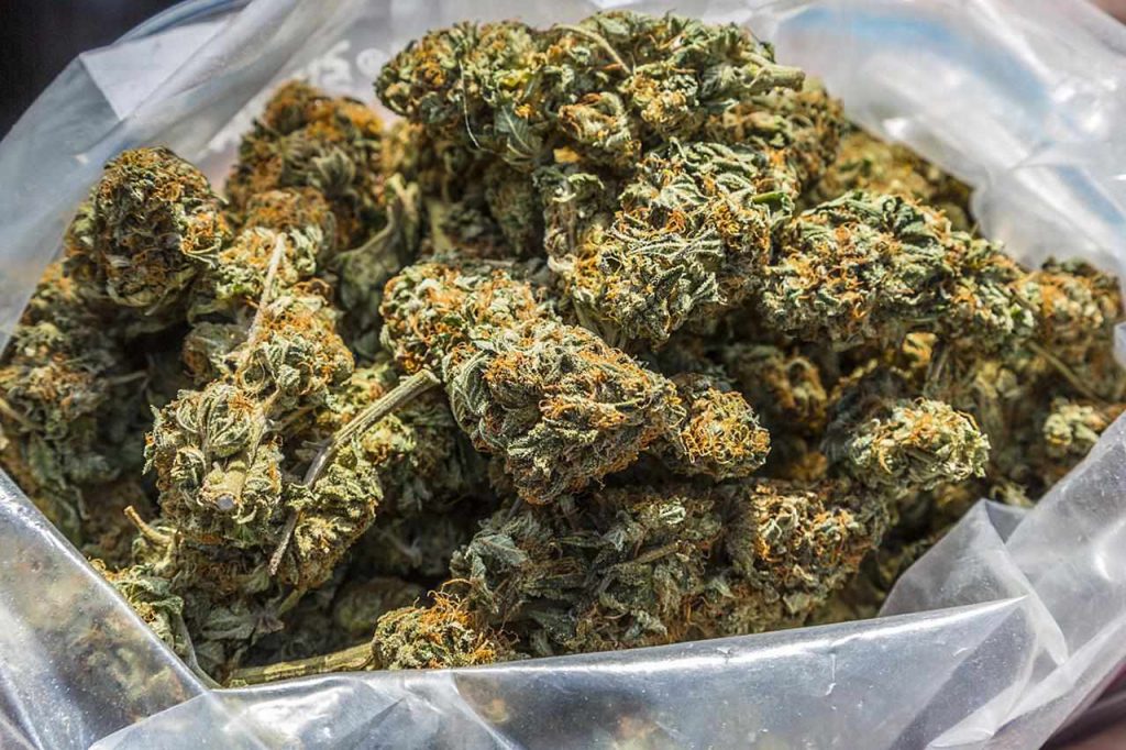 Bulk Flower